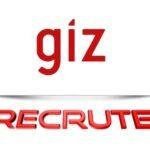 giz recrute