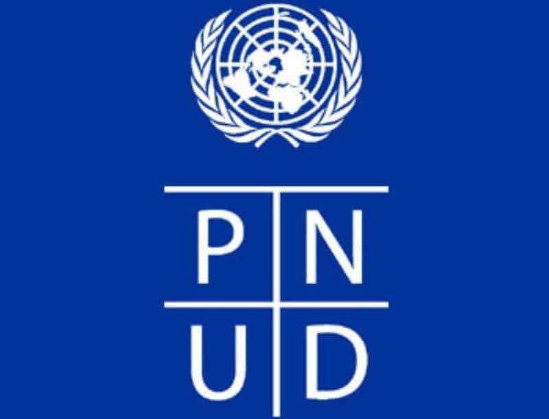 pnud emploitogo
