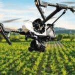 agrobusiness recrutement
