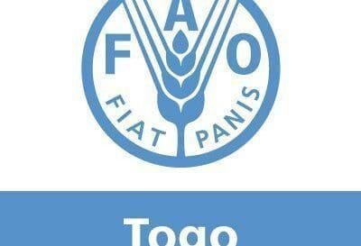 fao recrute