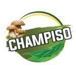 champiso recrute