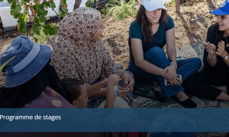 programme de stage de la FAO