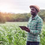emploi togo technicien agricole