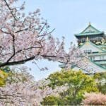 Bourses MEXT du Gouvernement Japonais Premier Cycle Entierement Financee
