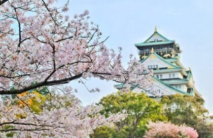 Bourses MEXT du Gouvernement Japonais Premier Cycle Entierement Financee