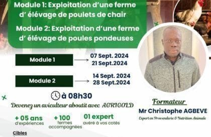 formation en Aviculture