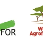 CIFOR ICRAF