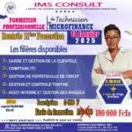 Certificat de Technicien Professionnel en Microfinance