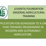 levintis foundation
