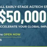 impact challenge