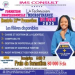 Certificat de Technicien Professionnel en Microfinance