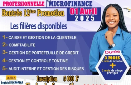 Certificat de Technicien Professionnel en Microfinance