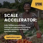 Spring Impact