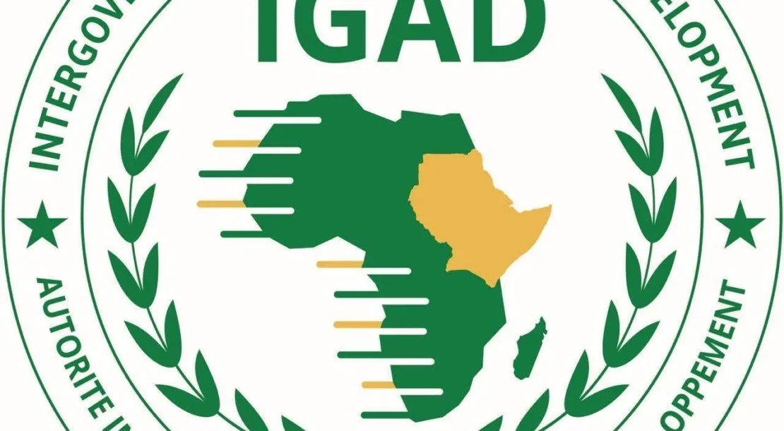 stages 2025 de l'IGAD