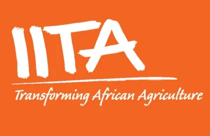 Programme de stages pour diplômés de l'IITA