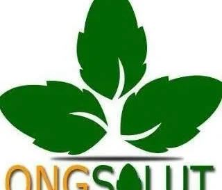 ONG Solidarité en Action pour la Lutte contre la pauvreté