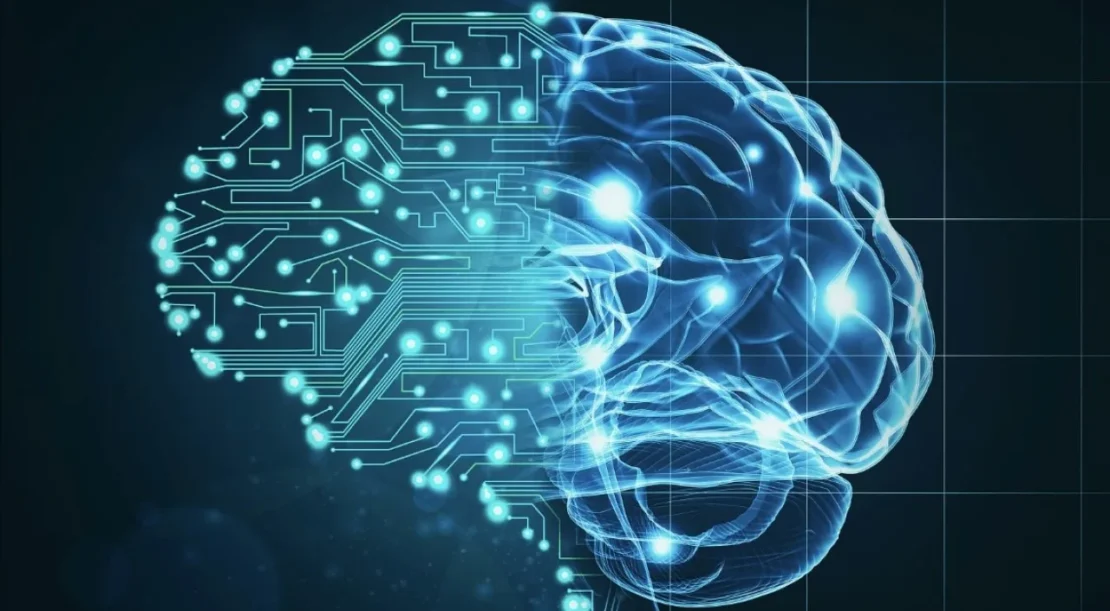 Bourses de formation en neurosciences