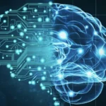 Bourses de formation en neurosciences
