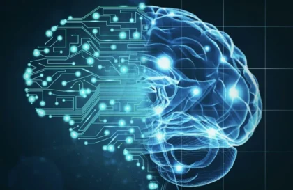 Bourses de formation en neurosciences