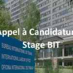 programme de stages du BIT