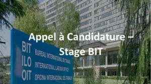 programme de stages du BIT