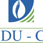 BDU-CI