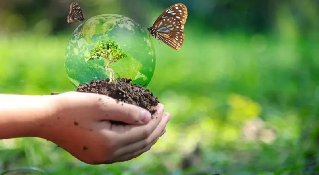 Cours en ligne gratuits sur le financement de la biodiversité