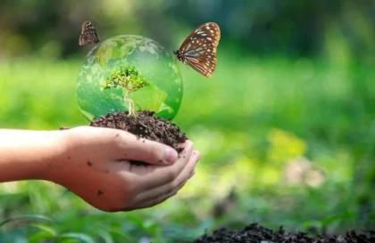 Cours en ligne gratuits sur le financement de la biodiversité