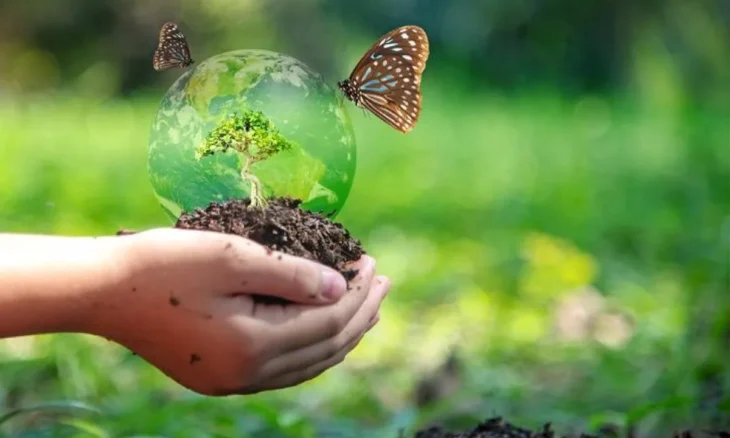 Cours en ligne gratuits sur le financement de la biodiversité