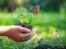 Cours en ligne gratuits sur le financement de la biodiversité