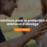 Subventions pour la protection des animaux d’élevage