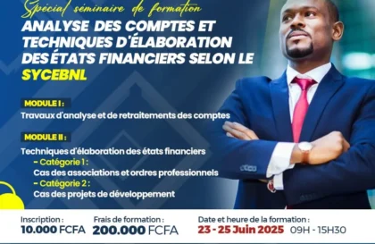 formation analyse des comptes -États financiers – SYCEBNL