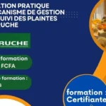 formation pratique en mécanisme de gestion et de suivi des plaintes avec ruche