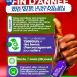 Opportunité spéciale de fin d’année