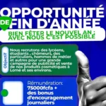 opportunité emploi fin d'année