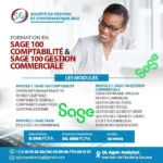formation pratique en sage100 comptabilité