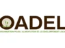 L’Organisation pour l’Alimentation et le Développement Local (OADEL) recrute
