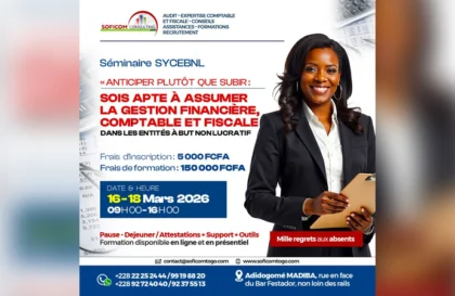 Séminaire sur le SYCEBNL