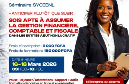 Séminaire sur le systeme comptable des entites a but non lucratif lomé