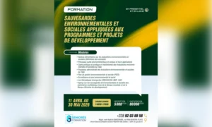 formation en sauvegardes environnementales et sociales