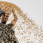 Cours gratuits FAO agriculture