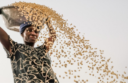 Cours gratuits FAO agriculture
