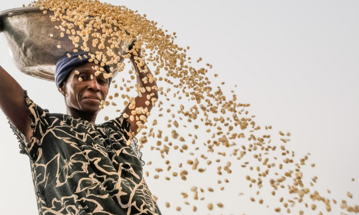 Cours gratuits FAO agriculture