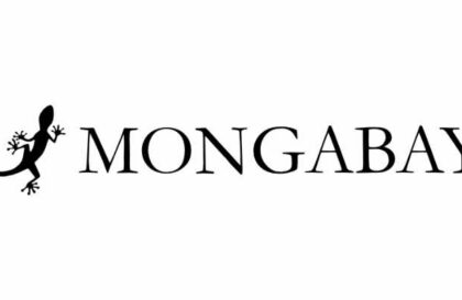 bourses Mongabay journalisme environnemental RDC