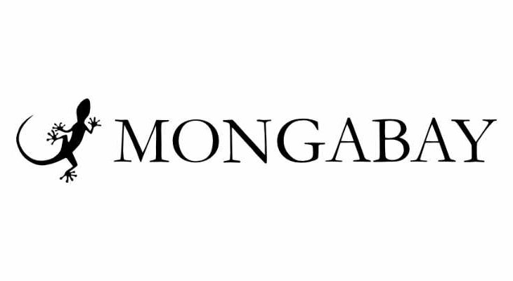 bourses Mongabay journalisme environnemental RDC