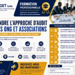 comprendre lapproche Audit Dans les ONG Et Associations 1