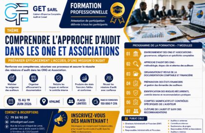 comprendre lapproche Audit Dans les ONG Et Associations 1