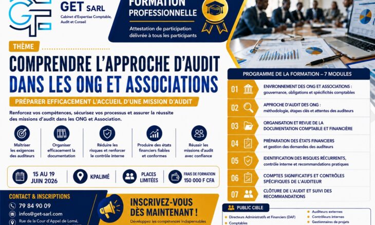 comprendre lapproche Audit Dans les ONG Et Associations 1