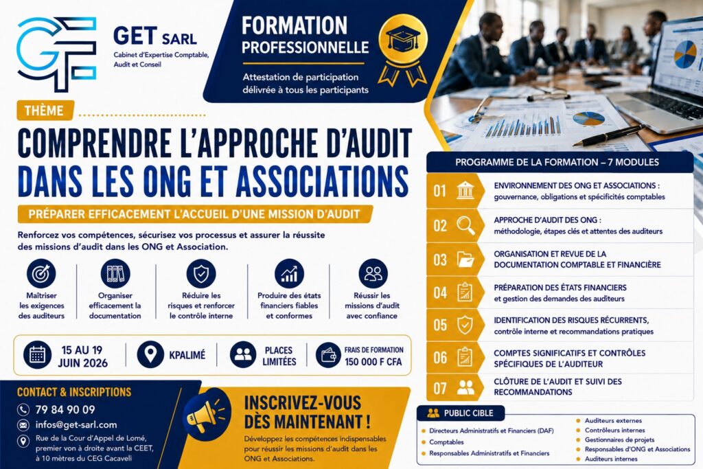 comprendre l'approche Audit Dans les ONG Et Associations