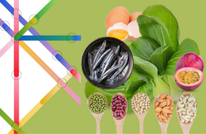 cours en ligne gratuit alimentation saine FAO certificat